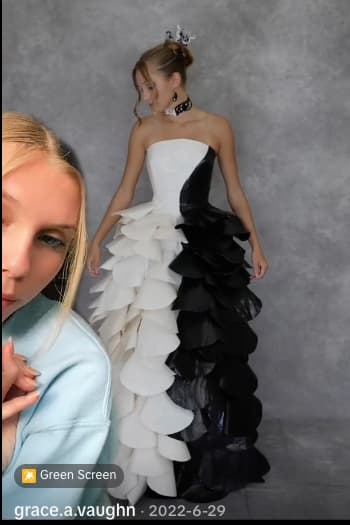 The Yin-Yang Ballgown — 143 Hours, 45 Rolls, 5 Million Views
