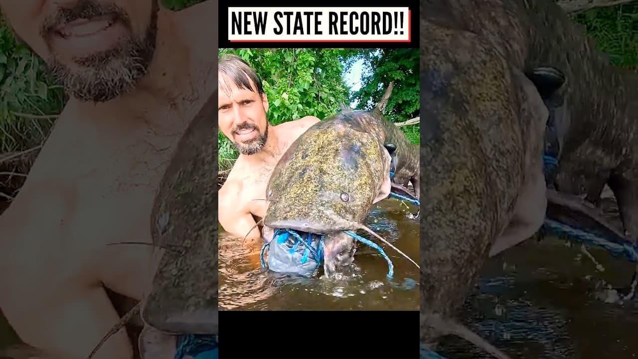 RECORD Catfish Noodling — Yankee Noodling's Wisconsin Monster