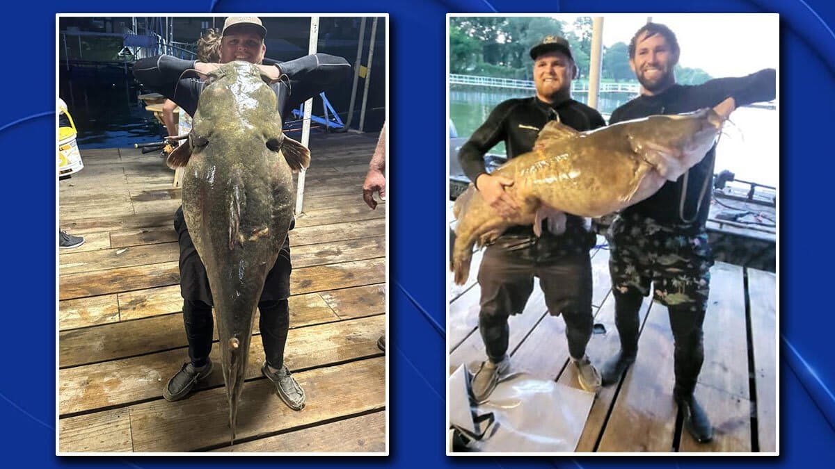 The 98.7-Pound Noodled Catfish of Lake Tawakoni