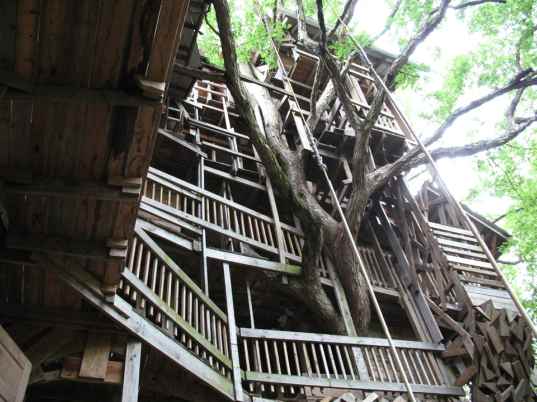 Horace Burgess's 97-Foot Treehouse -- 80 Rooms, 14 Years, Half a Million Nails